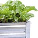 Galvanized Raised Garden Beds for Vegetables Large Metal Planter Box Steel Kit Flower Herb, 8X4X1Ft