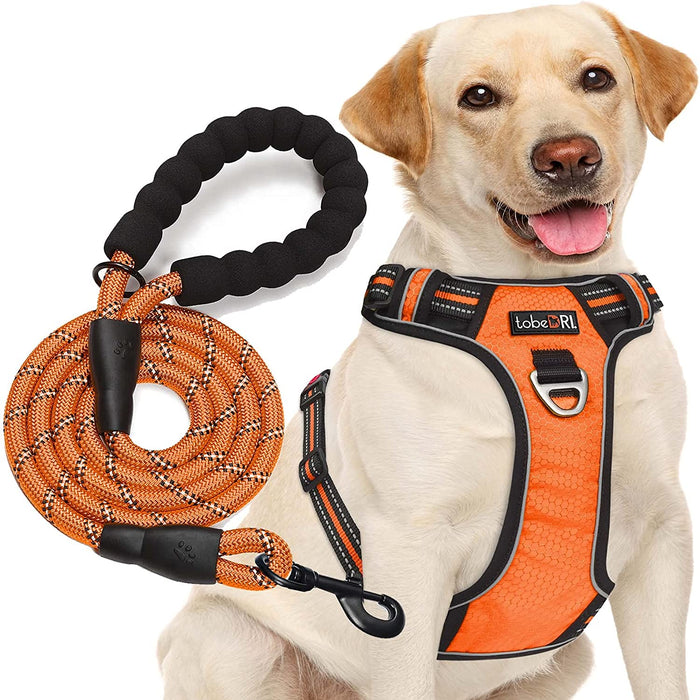No Pull Dog Harness Adjustable Reflective Oxford Easy Control Medium Large Dog Harness with a Free Heavy Duty 5Ft Dog Leash (S (Neck: 13"-18", Chest: 17.5"-22"), Blue Harness+Leash)