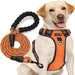 No Pull Dog Harness Adjustable Reflective Oxford Easy Control Medium Large Dog Harness with a Free Heavy Duty 5Ft Dog Leash (S (Neck: 13"-18", Chest: 17.5"-22"), Blue Harness+Leash)
