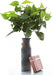 Season’S Need Artificial Plants Greenery Bush, Pack of 2 Fake Shrubs Simulation Indoor outside Hanging Planter Home Garden Décor, Porch Window Box Decorating (Heart Leaf Philo)