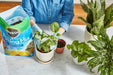 Miracle-Gro Moisture Control Potting Mix - Soil for Indoor & Outdoor Containers, Added Fertilizer Feeds up to 6 Months, 8 Qt.