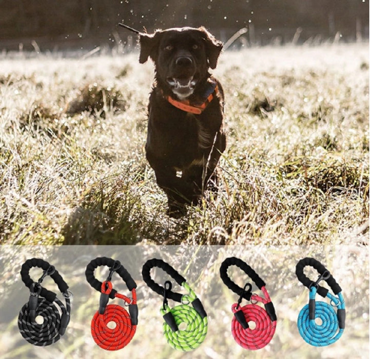 5 FT Strong Dog Leash with Padded Handle and Highly Reflective Threads Nylon Dog Leashes for Medium and Large Dogs