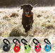 5 FT Strong Dog Leash with Padded Handle and Highly Reflective Threads Nylon Dog Leashes for Medium and Large Dogs