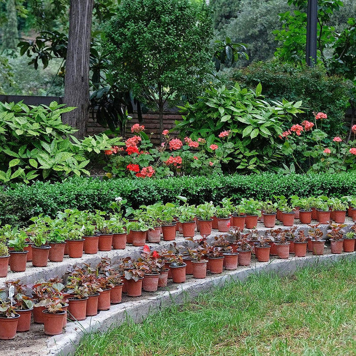 100 Pieces Plastic Plant Nursery Pots Reusable Plant Seeding Nursery Pot Flower Plant Containers Seed Starting Pots for Gardens, 3 Sizes (Brown)