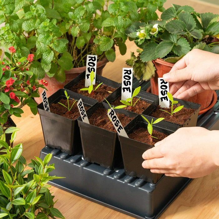 Square Nursery Pots 3.3 Inches Flexible Plastic Seedling Pots Square Pots for Plants, Succulent, Flower, Pack of 60, with 60 PCS Plant Labels