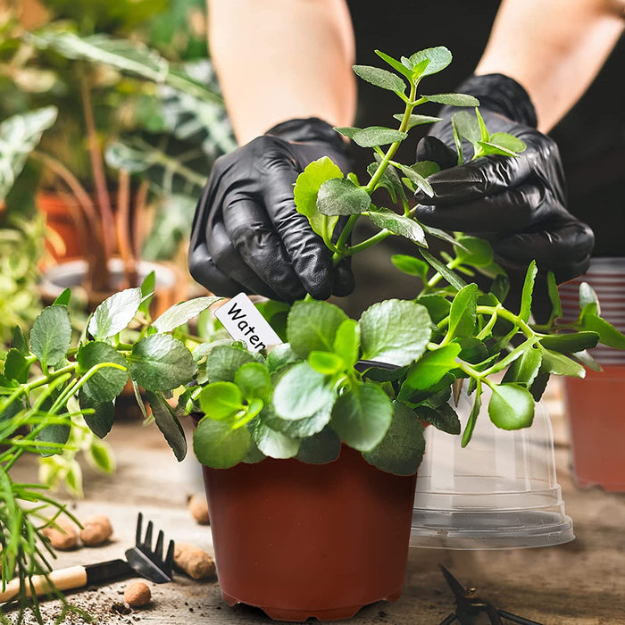 36Packs 5/4/3.5 Inch Nursery Pots with Clear Humidity Domes, Seed Starting Pots with Drainage Holes, Garden Containers for Seedlings, Succulents,Cuttings,Flowers and Vegetables with 50PCS Plant Labels