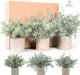 Mini Potted Fake Plants Artificial Small Eucalyptus Plants for Home Office Desk Farmhouse Decor