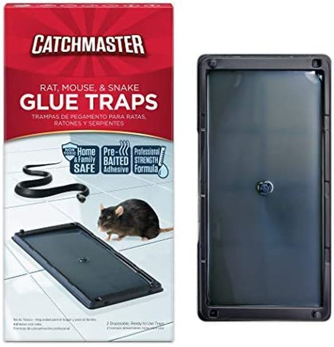 Baited Glue Traps by  - 10 Pre-Baited Trays, Ready to Use Indoors. Rat Mouse Snake Exterminator Plastic Sticky Adhesive Easy No-Mess Simple Non-Toxic Disposable - Made in the USA
