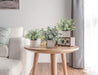 3 Pack Mini Potted Fake Plants Artificial Plastic Eucalyptus Plants for Home Office Desk Farmhouse Room Decor