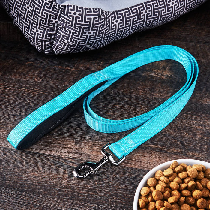 Vibrant Life Reflective Comfort Dog Leash, Large, Teal, 6Ft X 1In