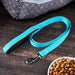 Vibrant Life Reflective Comfort Dog Leash, Large, Teal, 6Ft X 1In