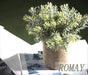 3 Pack Mini Potted Artificial Plants Fake Eucalyptus Greenery in Pots for Home Office Desk Decor