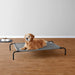 Cooling Elevated Dog Bed with Metal Frame, Large, 51 X 31 X 8 Inches, Grey