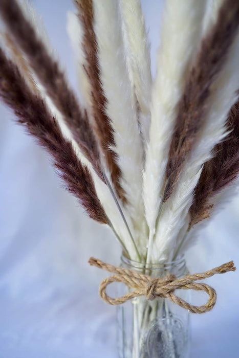 Fluffy Small Bundle of Real Natural Dried Pampas Grass Plant, Feather Length Is 25-35Cm with a Total Length of 45Cm-30 Stem Flower Arrangement for Wedding, Home Décor, Gifts