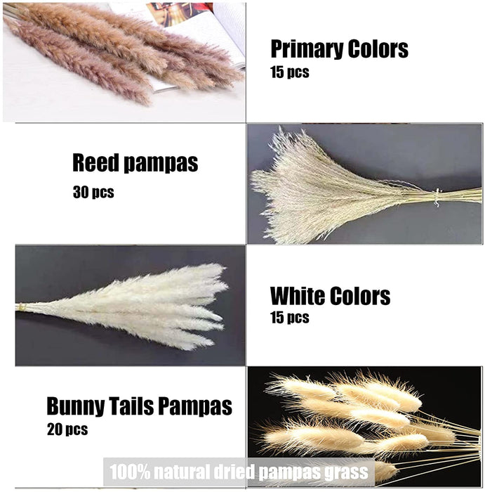 Pampas Grass 80 Pcs 17.5 Inch Natural Dried Pampas Grass - 15Pcs White Pampas & 15Pcs Brown Pampas & 30Pcs Reed Grass & 20Pcs Bunny Tail Grass,Fluffy Dried Flowers for Home Decor Wedding Boho Decor…