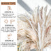 Dried Pampas Grass Decor 60 Pcs DIY Boho Natural Dried Flower Decor Pompous Dried Plants Bouquet for Wedding Vase Home Floral Arrangements