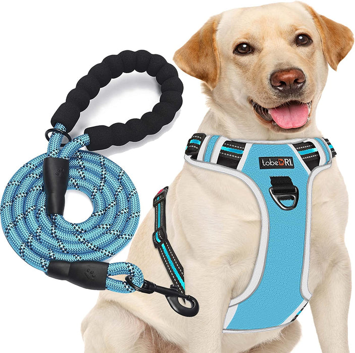No Pull Dog Harness Adjustable Reflective Oxford Easy Control Medium Large Dog Harness with a Free Heavy Duty 5Ft Dog Leash (S (Neck: 13"-18", Chest: 17.5"-22"), Blue Harness+Leash)