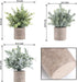 3 Pack Mini Potted Artificial Plants Fake Eucalyptus Greenery in Pots for Home Office Desk Decor