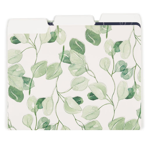 Arid Ivy File Folders, Letter, 3 Tab, Multi-Color, 6 Count, 3168U