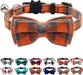 Breakaway Cat Collar with Cute Bow Tie and Bell, Plaid Patterns, 1 Pack Girl Boy Kitty Safety Collars, Blue