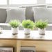 Fake Plants in Ceramic Pot, 3 Pack Potted Artificial Eucalyptus Plants for Home Decor Indoor Faux Green Rosemary for Desk Shelf Coffee Centerpiece Bathroom Office Decor