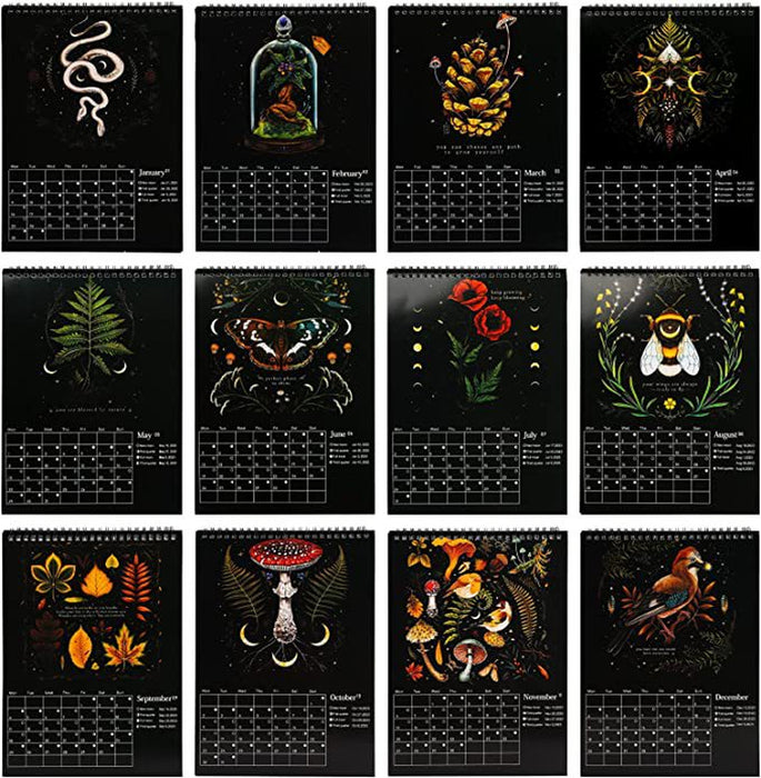 Dark Forest 2023 Lunar Colorful Wall Calendar