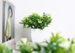 Set of 2 Mini Potted Artificial Plants Plastic Fake Green Plant for Home Decor Office Desk Shower Room Decoration Faux Plants Indoor (White, Set of 2)