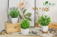 8 Packs Fake Plants Small Artificial Faux Potted Plants for Home Office Farmhouse Bathroom Bedroom Decor Indoor
