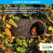 Simon King Secret Nester Bird Habitat Roosting Pocket
