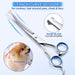 Professional 4CR Stainless Steel Safety round Tip 6 in 1 Dog Scissors for Grooming, Heavy Duty Titanium Coated Pet Grooming Scissor for Dogs, Cats and Other Animals