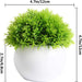 4 Pcs Mini Artificial Plants Potted Small Fake Plants for Shelf Green Plant in White Plastic Pot for Home Bathroom Decor Faux Plants (White, Set of 4)