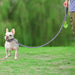 Double-Sided Reflective Dog Leash, 6 FT/5FT/4 FT, Padded Handle Nylon Dogs Leashes for Walking, Training Lead for Small & Medium Dogs, Gray, 5FT