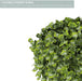 Set of 2 (12.5") Artificial Boxwood Topiary Potted Plant Decorations, Mini Faux Fake Plant Greenery Arrangements in Pots for Office Desk or Home Decor, 5.5" X 12.5"
