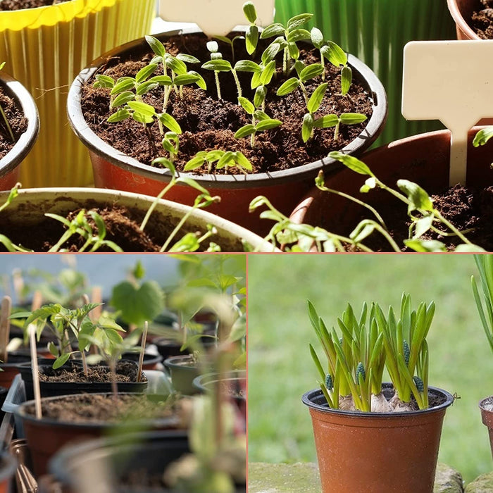 100 Pcs 4" Plastic Plants Nursery Pot/Pots Seedlings Flower Plant Container Seed Starting Pots