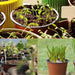 100 Pcs 4" Plastic Plants Nursery Pot/Pots Seedlings Flower Plant Container Seed Starting Pots