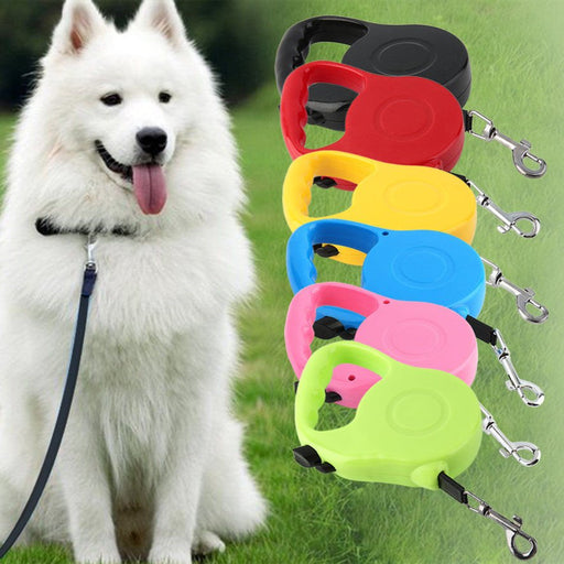 Automatic 16.5 Feet Retractable Dog Leash Pet Lead in Assorted Colors