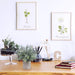 Set of 3 Mini Potted Artificial Eucalyptus Plants Plastic Fake Green Rosemary Plant for Home Decor Office Desk Shower Room Decoration