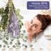 115 PCS Mix Dried Eucalyptus Stems & Lavender Flowers for Shower - 17'' Real Large Silver Dollar Leaves Branches, Fresh Hanging Plants for Vase, Natural Fragrance, Home Aromatic, Wedding Decor