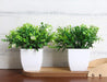 Set of 2 Mini Potted Artificial Plants Plastic Fake Green Plant for Home Decor Office Desk Shower Room Decoration Faux Plants Indoor (White, Set of 2)