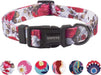 QQPETS Adjustable Soft Dog Collar: Print Flower Pink Multicolor Cute Patterns for XS Small Medium Large Pet Girl Boy Puppy Walking Running Training (M, Bone)