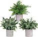 Mini Potted Plants Artificial Eucalyptus Boxwood Rosemary Greenery in Pots Faux Potted Herbs Small Houseplants 8.3"-9" Tall for Indoor Greenery Tabletop Décor Centerpiece 3 Pack
