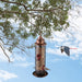 Birdland Tube Wild Bird Feeder for Garden Yard Outdoor Decor, with 4 Feeding Ports & Drainage Holes, 1.35 Lb Capacity, Bronze