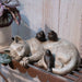 Sleeping Cat Garden Statues Outdoor - Sparrows on Cat Figurine 12" X 8" X 4.5"