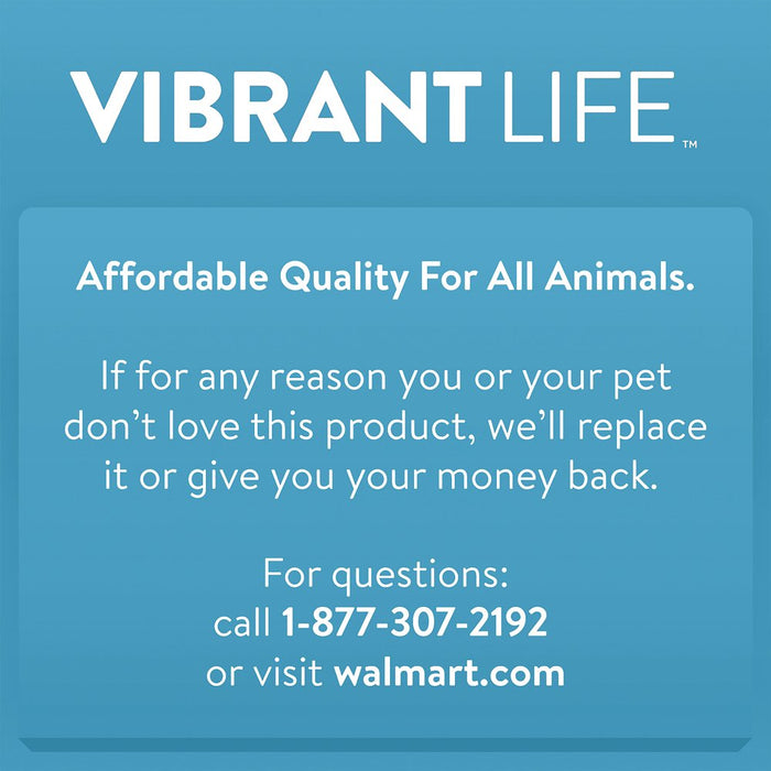 Vibrant Life Raised High Back Pet Bowl, Teal, Small, 8 Oz