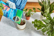 Miracle-Gro Moisture Control Potting Mix - Soil for Indoor & Outdoor Containers, Added Fertilizer Feeds up to 6 Months, 8 Qt.