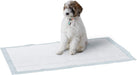 Dog and Puppy Pee Pads with Leak-Proof Quick-Dry Design for Potty Training, Standard Absorbency, Regular Size, 22 X 22 Inches - Pack of 100