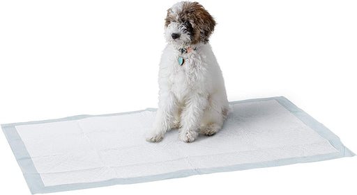 Dog and Puppy Pee Pads with Leak-Proof Quick-Dry Design for Potty Training, Standard Absorbency, Regular Size, 22 X 22 Inches - Pack of 100