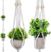 Artificial Hanging Plants with Plant Hanger, Small Fake Hanging Plants Potted Green Grass Eucalyptus Faux Greenery Topiary Shrubs for Home Office Bathroom Living Room Bedroom Aesthetic Decor, 2 Pack