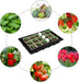 247 Pack Seed Starter Kit Including Peat Pots for Seedlings Seed Starter Tray with Plant Labels, Tool, Plastic Growing Trays Germination Tray Paper Seedling Cups for Indoor Outdoor Garden