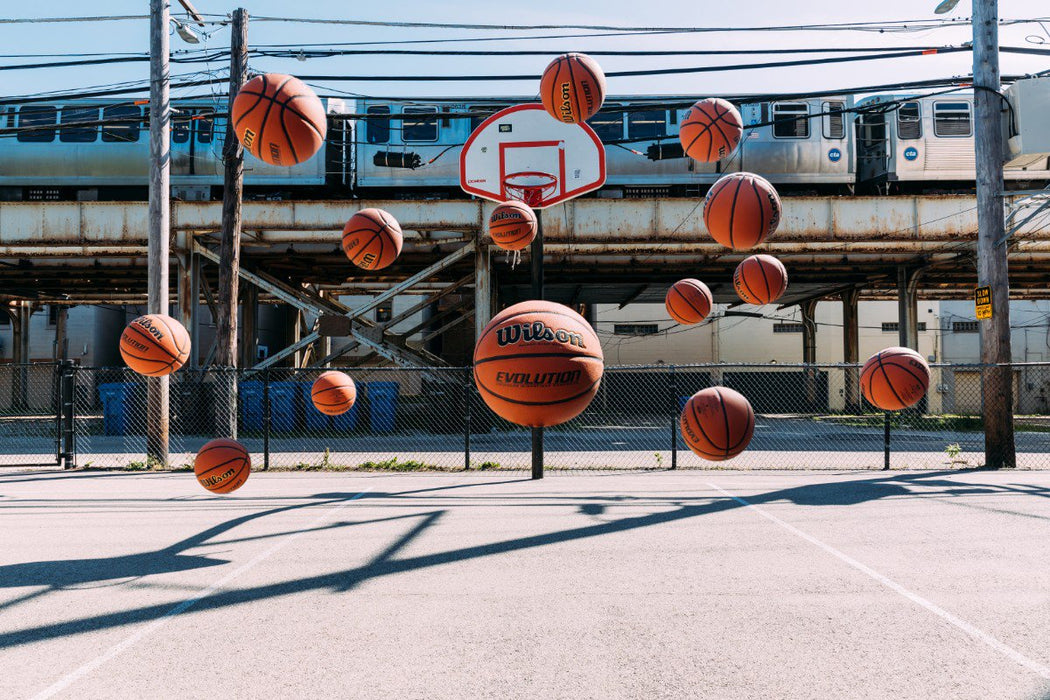 Wilson Evolution Official Game Basketball - 29.5"